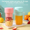 Professional Mini USB Juicer Blender
